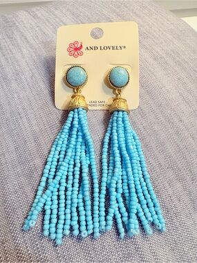 Turquoise Blue Beaded Tassel Drop Earrings